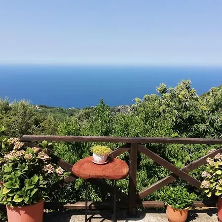 Guest house Horizon *
