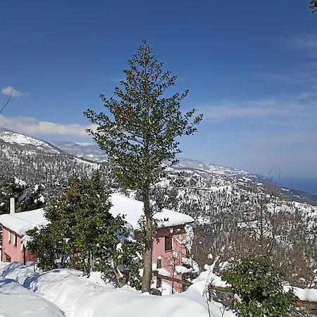 Horizon Guest house *