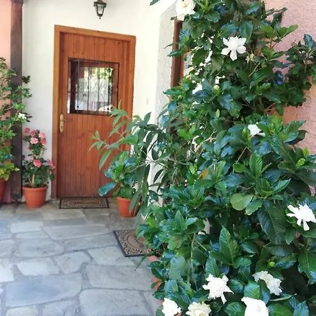 Horizon Цагарада