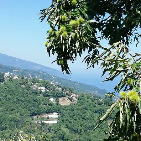 Horizon Guest house Tsagarada