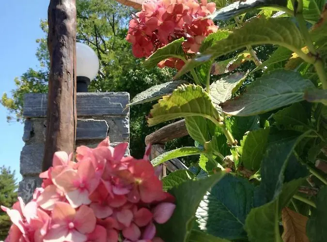 Horizon Guest house 3*